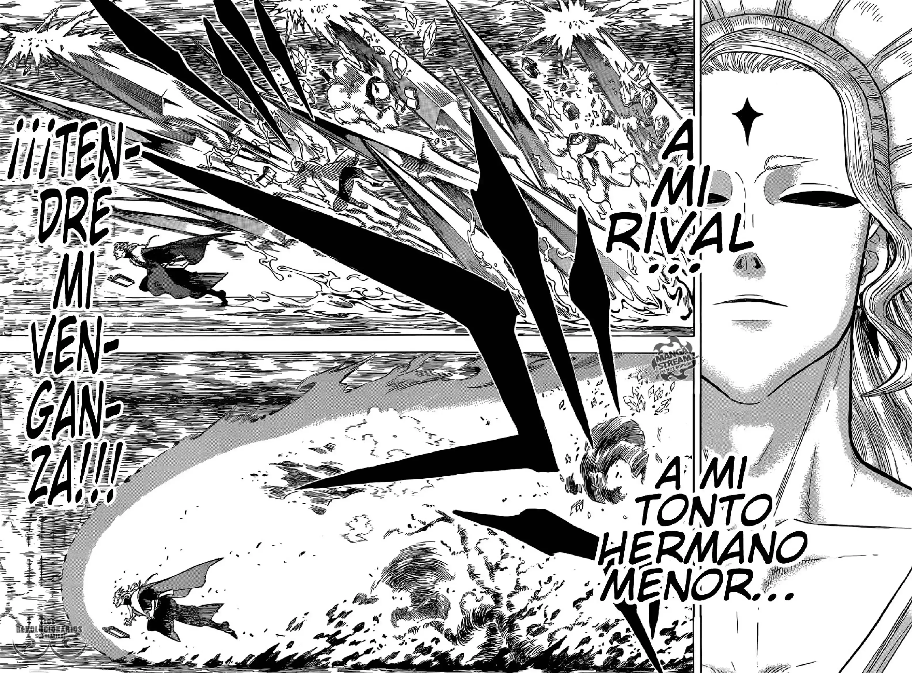 Capitulo 135 page 14