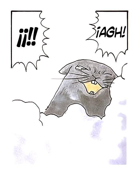 Capitulo 308.03 page 24