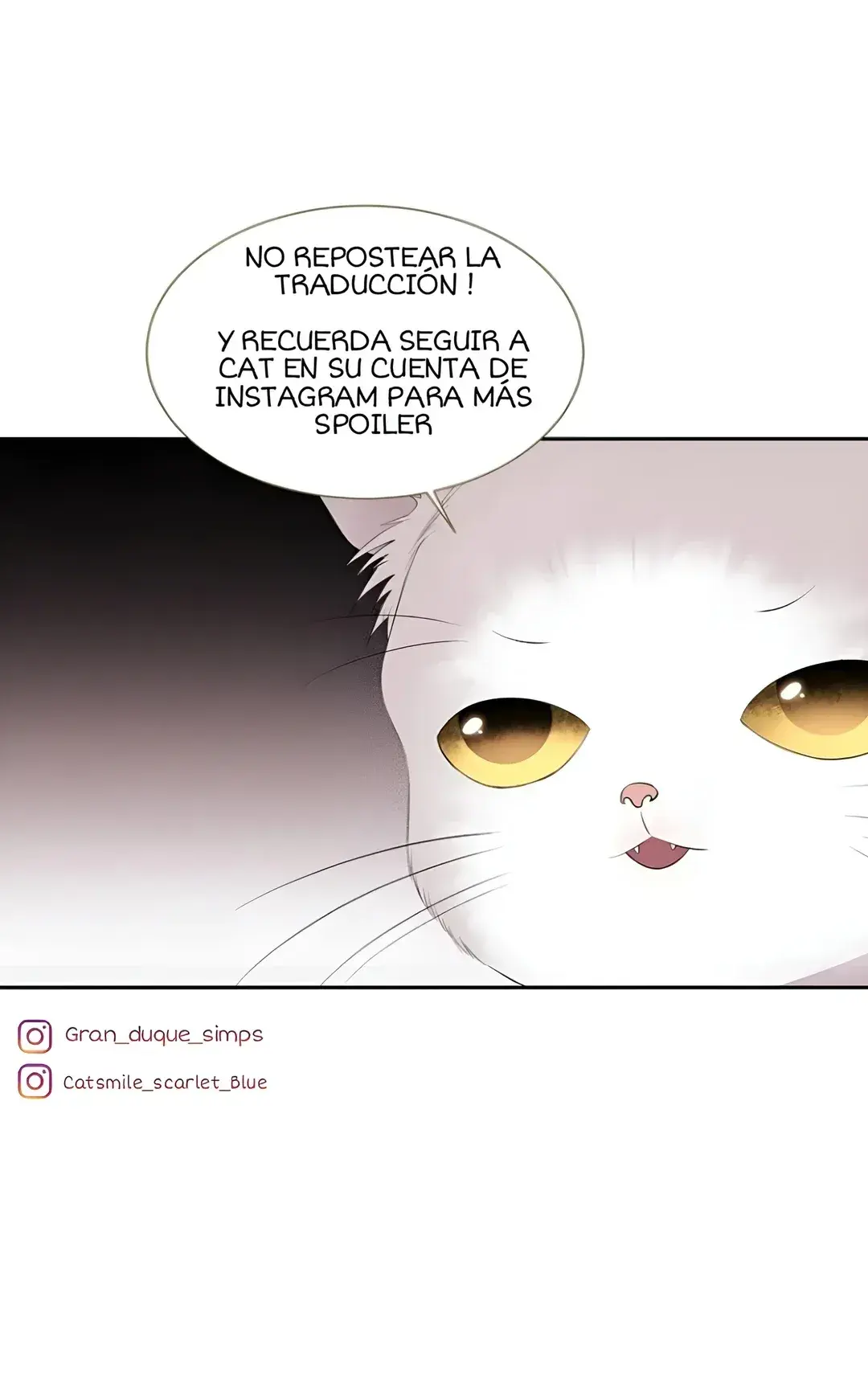 Capitulo 177 page 22