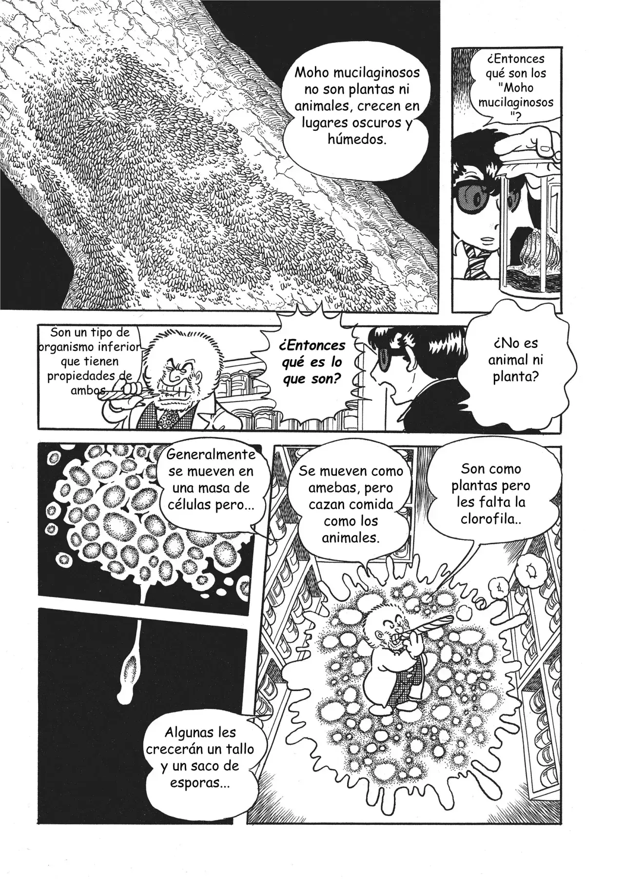 Capitulo 5 page 27