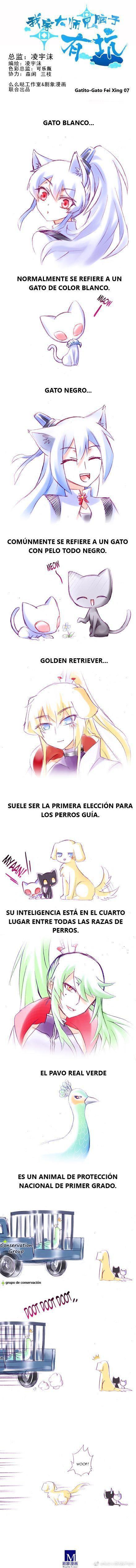 Capitulo 226.10 page 2