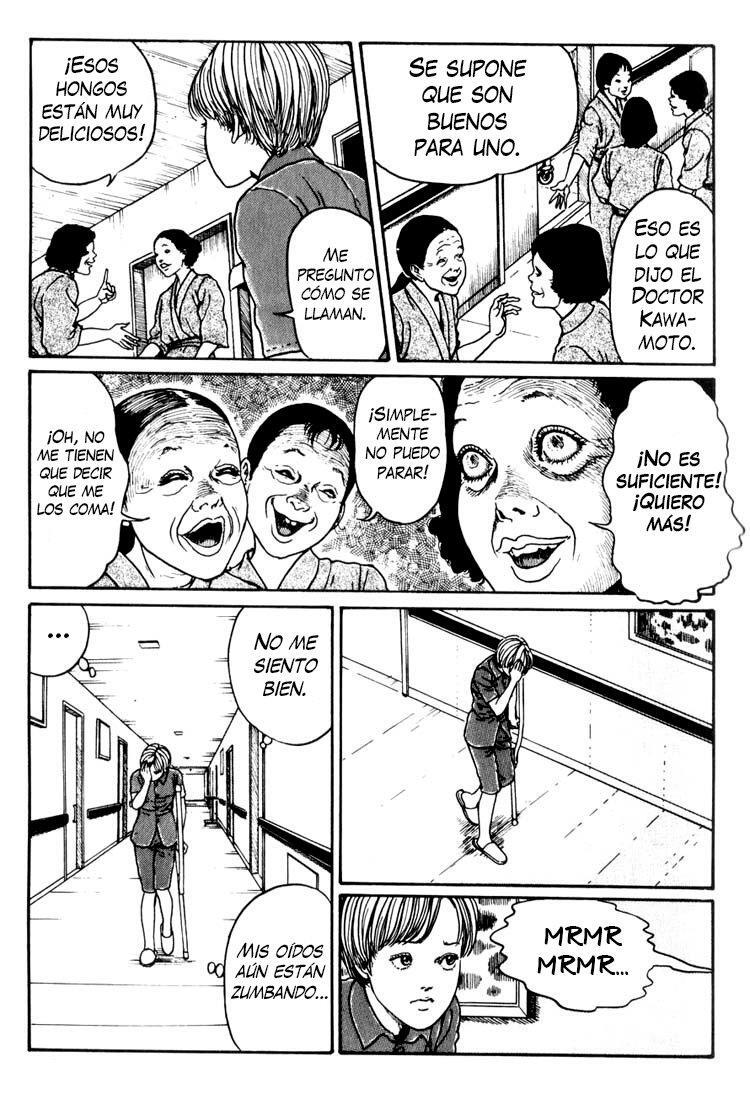 Capitulo 11 page 17