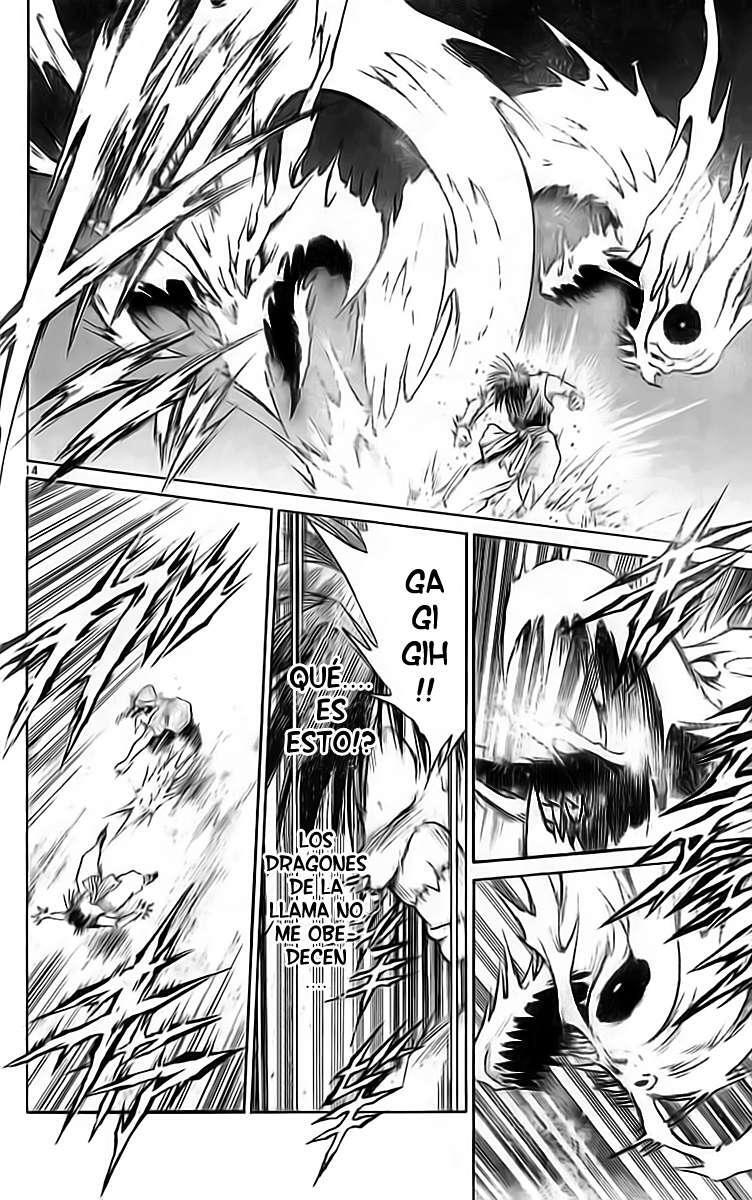 Capitulo 132 page 13