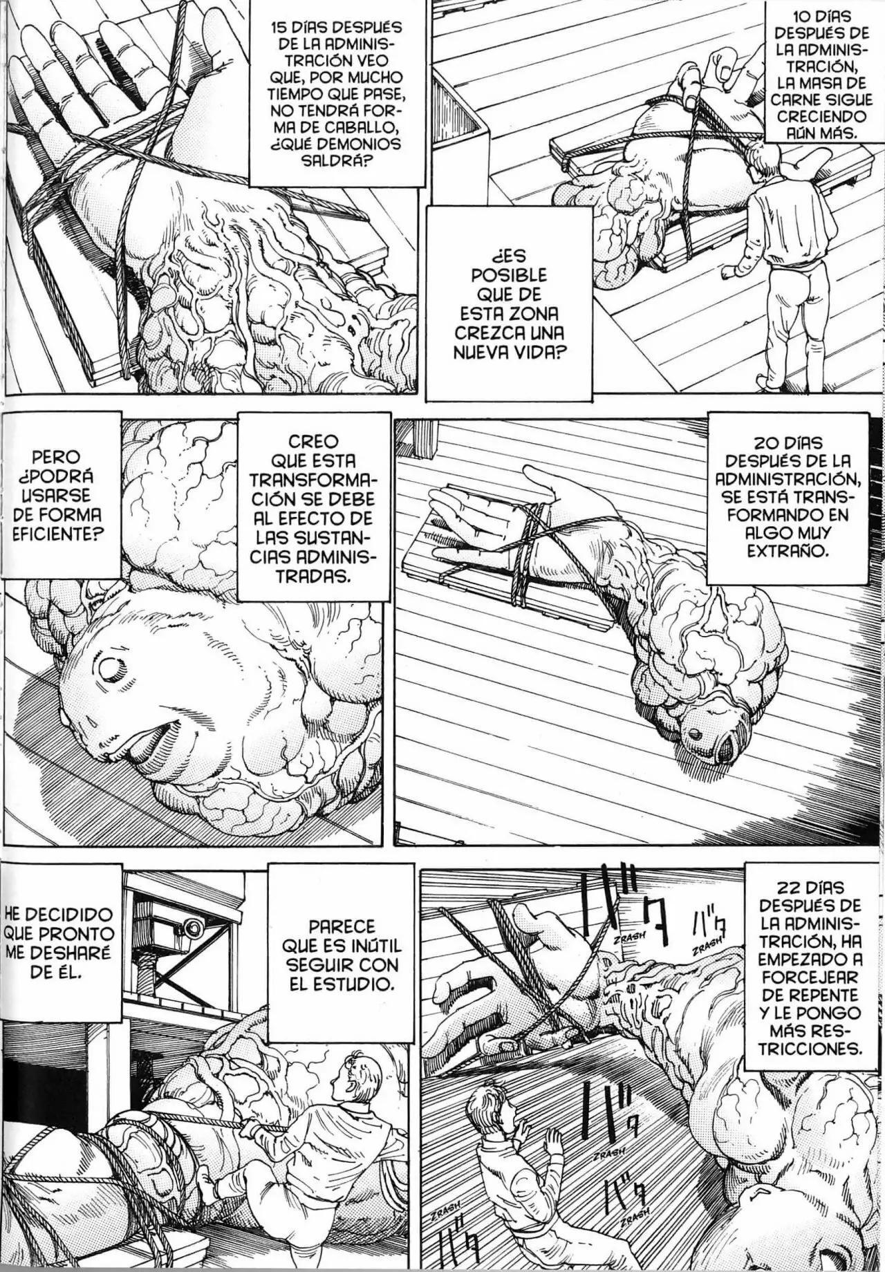 Capitulo 6 page 5