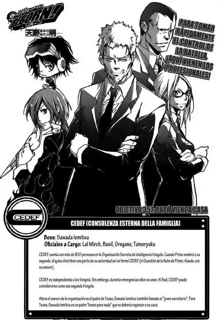 Capitulo 357 page 2