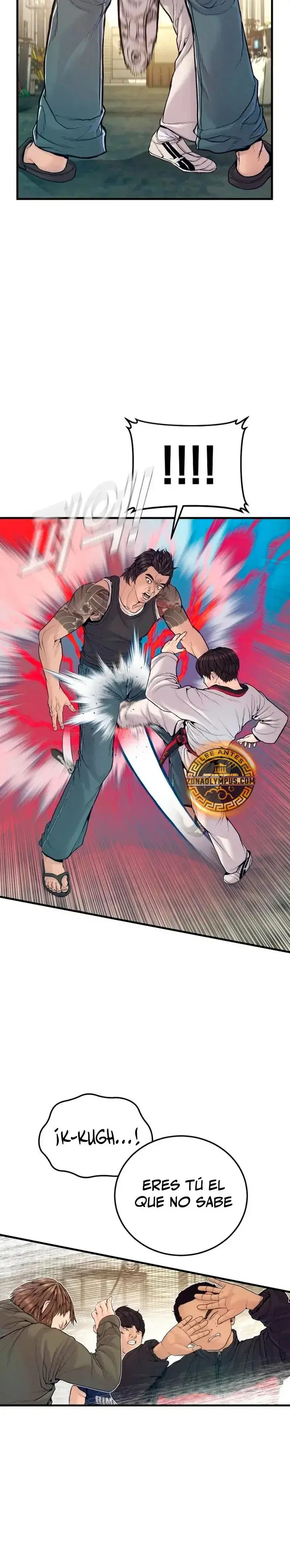 Capitulo 245 page 27