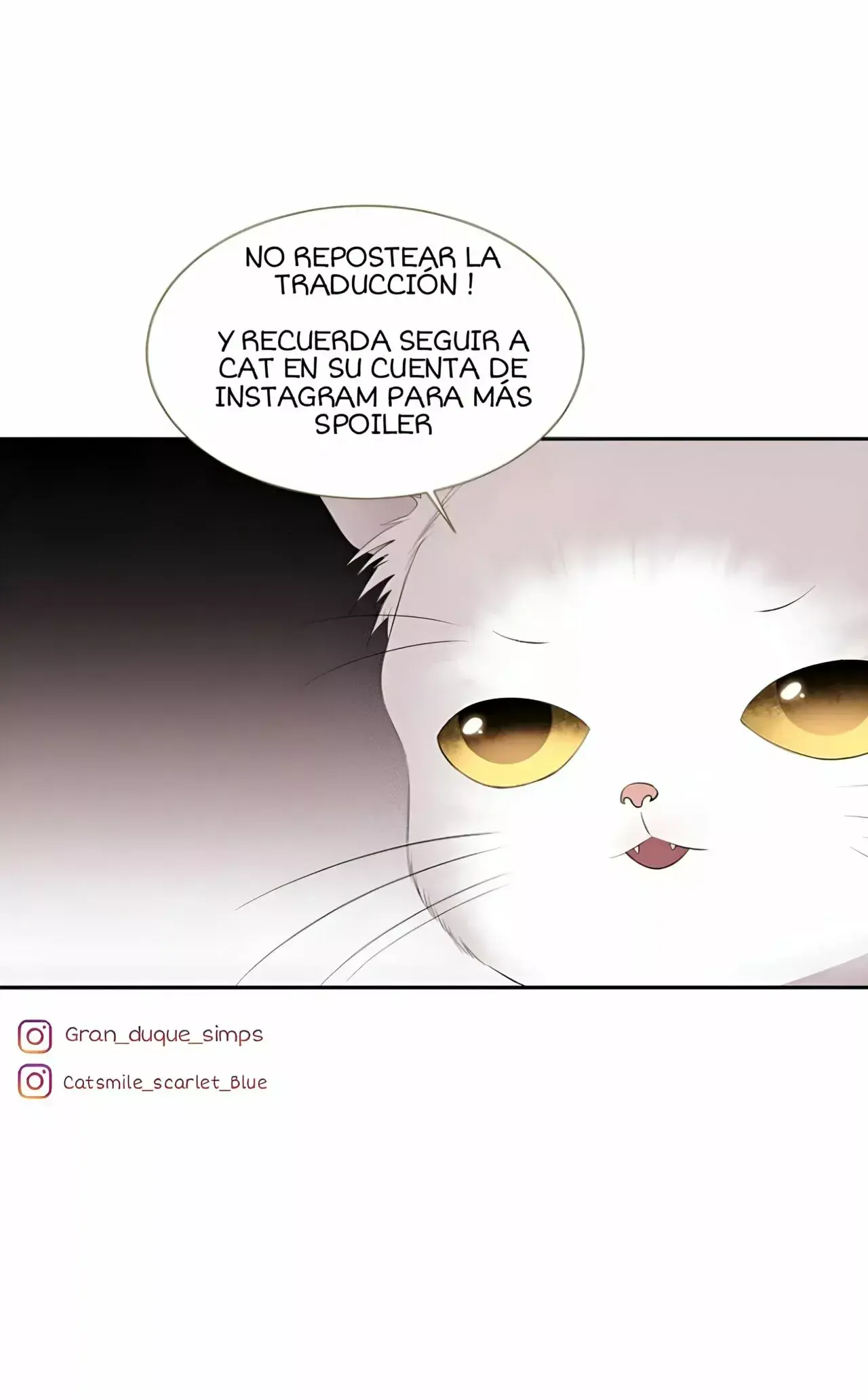 Capitulo 100 page 16