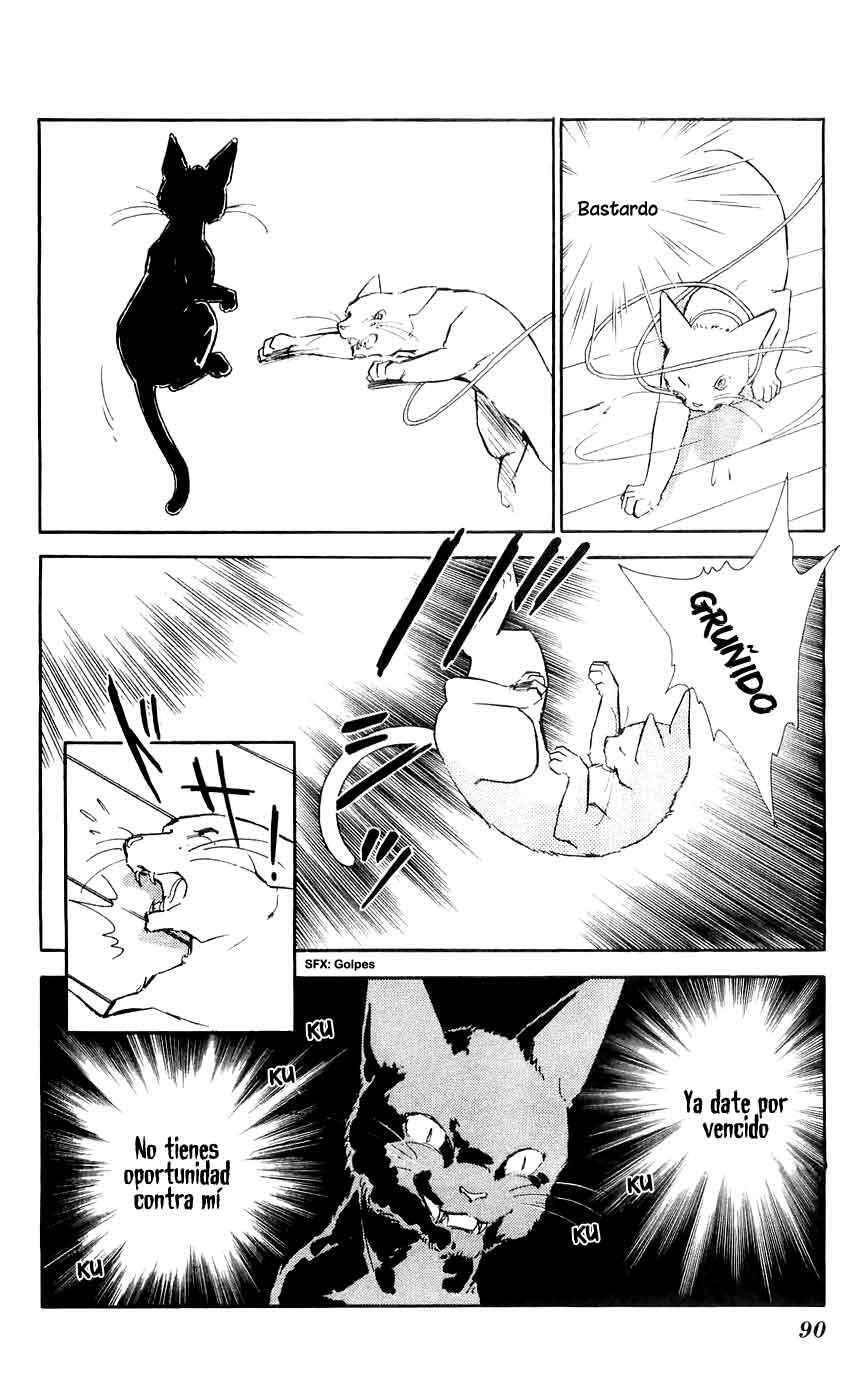 Capitulo 10 page 34