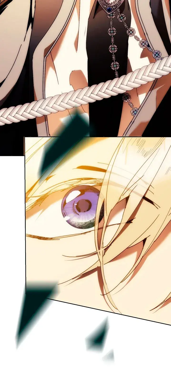 Capitulo 95 page 79