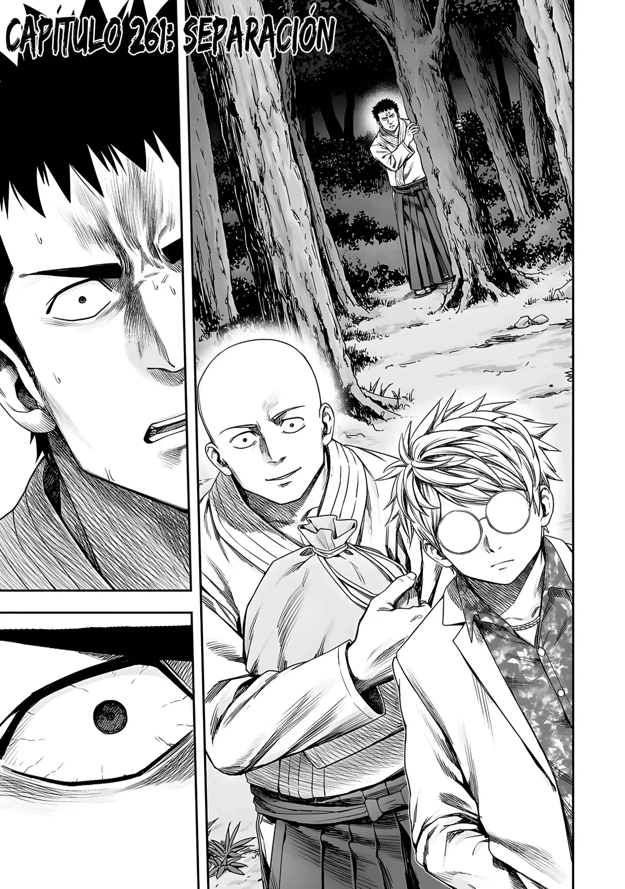 Capitulo 261 page 4