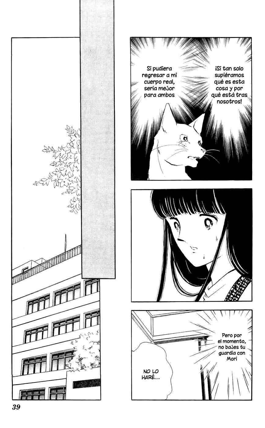 Capitulo 9 page 41