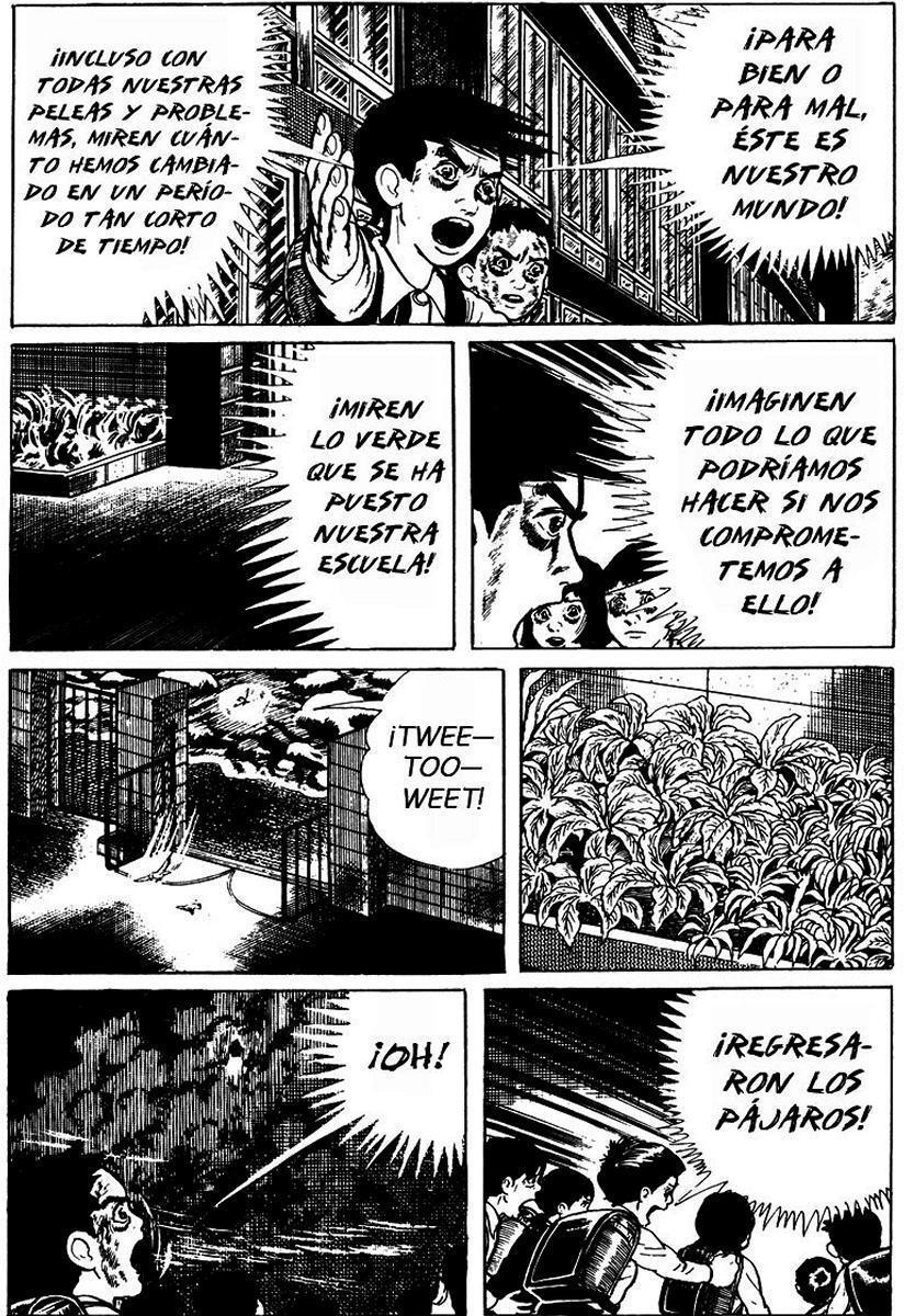 Capitulo 43 page 6