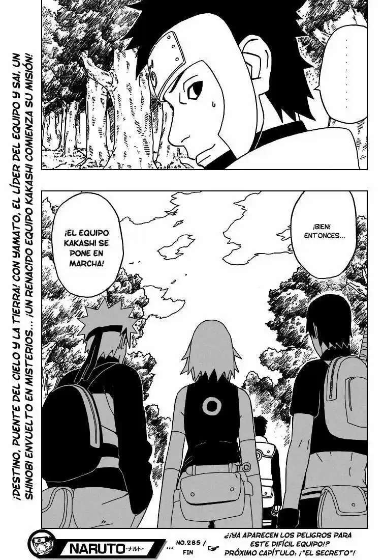 Capitulo 285 page 19