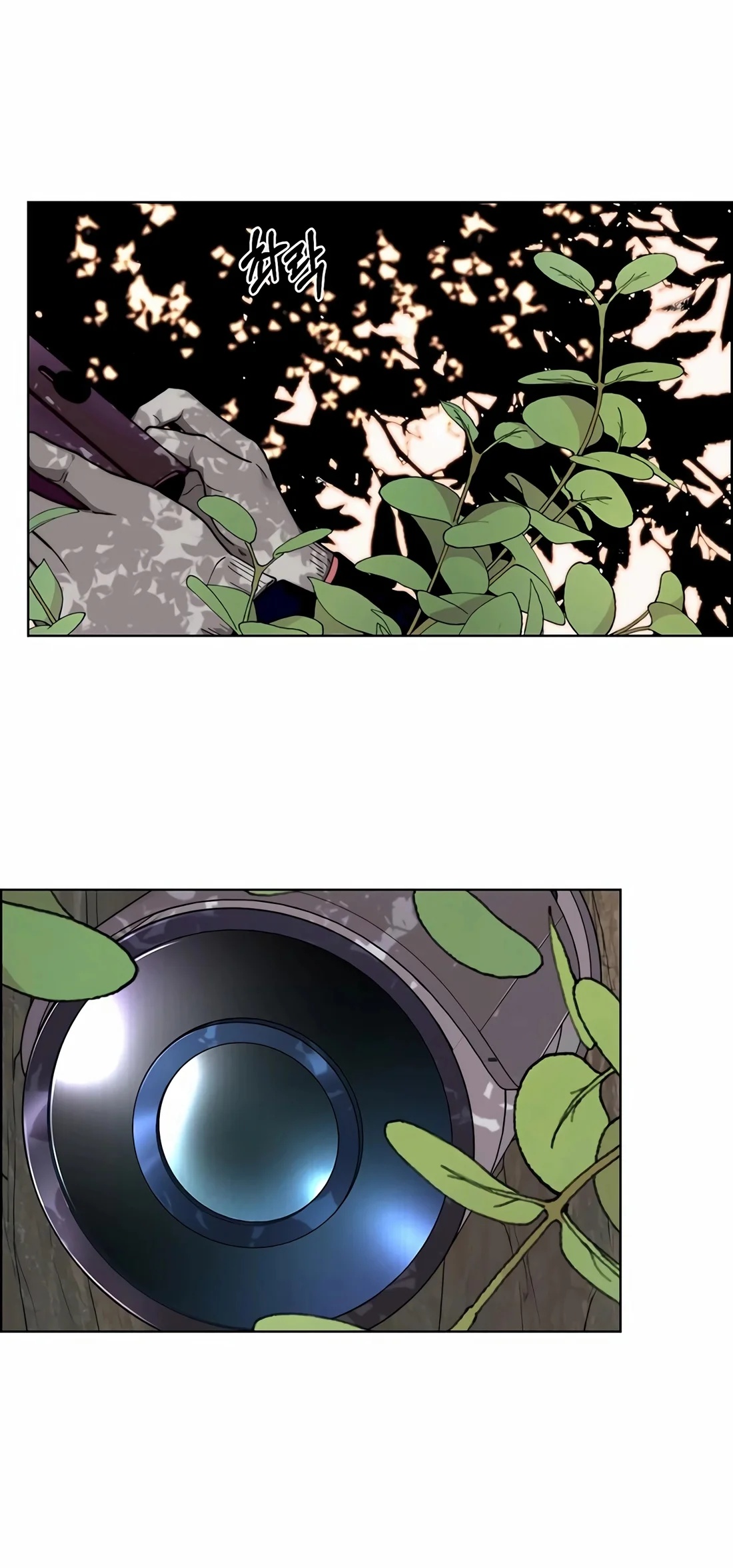 Capitulo 255 page 13
