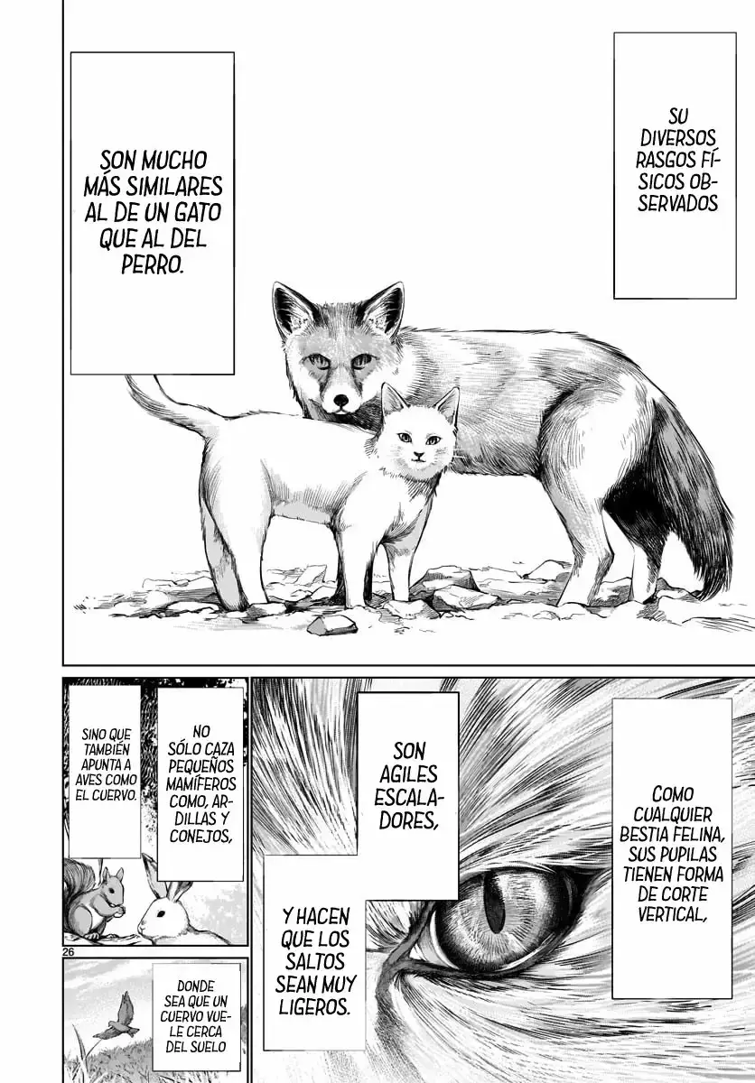 Capitulo 81 page 26