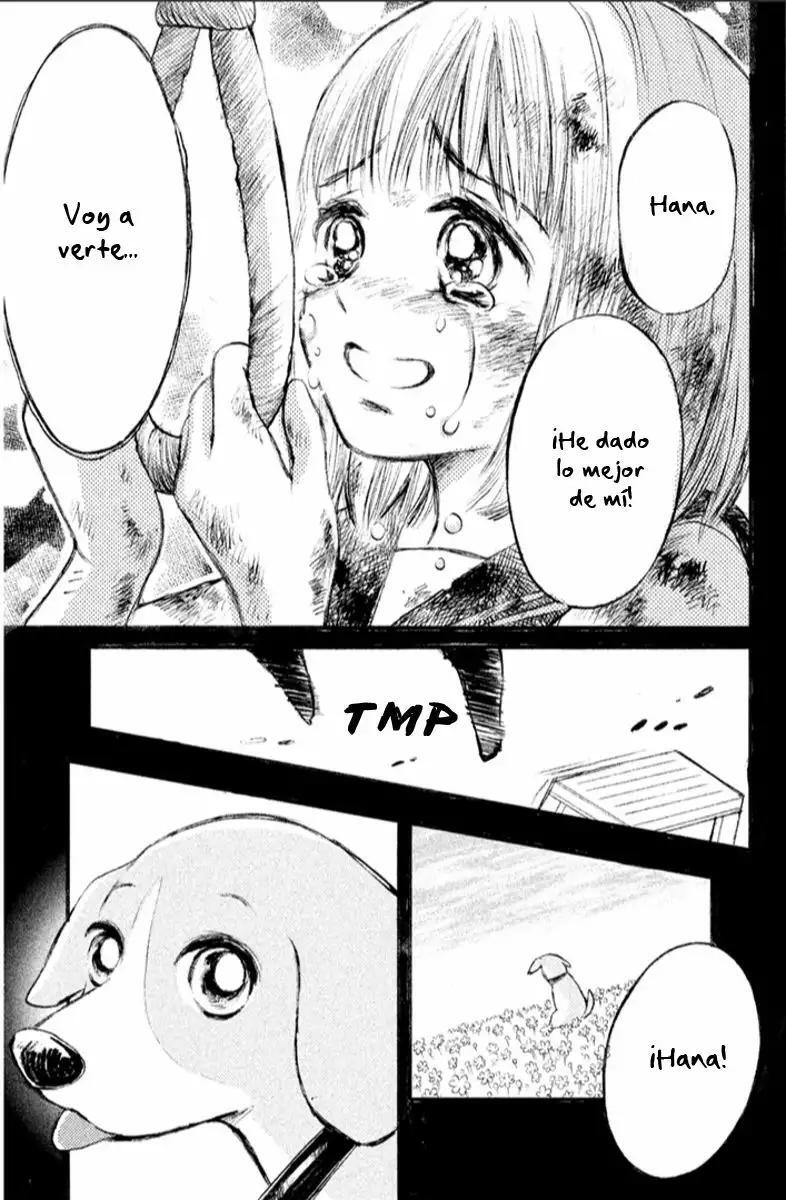 Capitulo 15 page 32