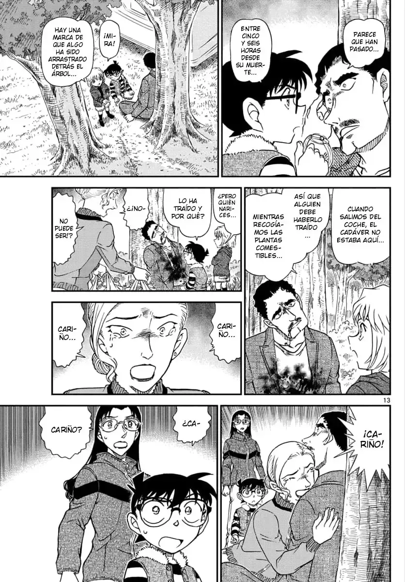 Capitulo 1032 page 14