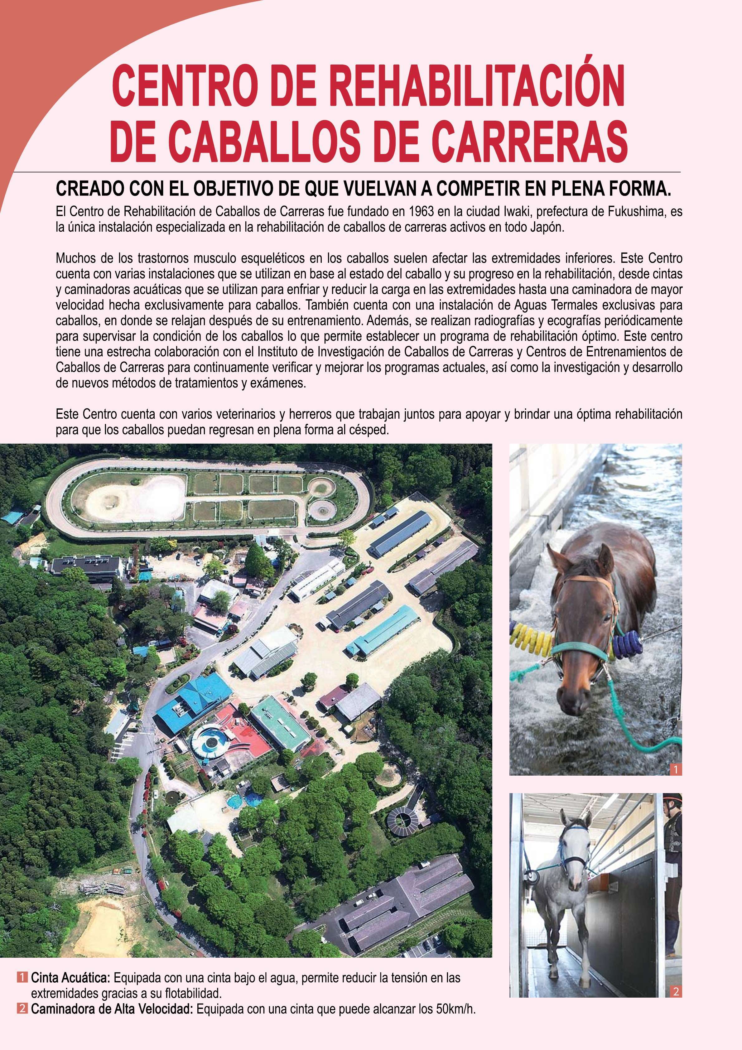 Capitulo 156 page 22