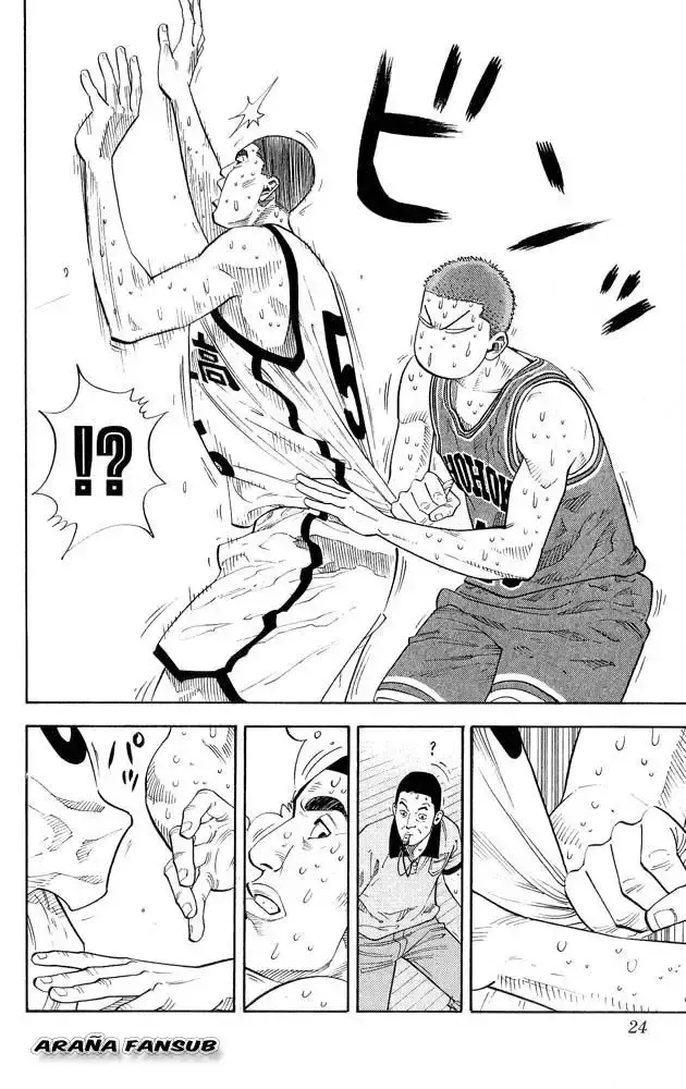Capitulo 243 page 22
