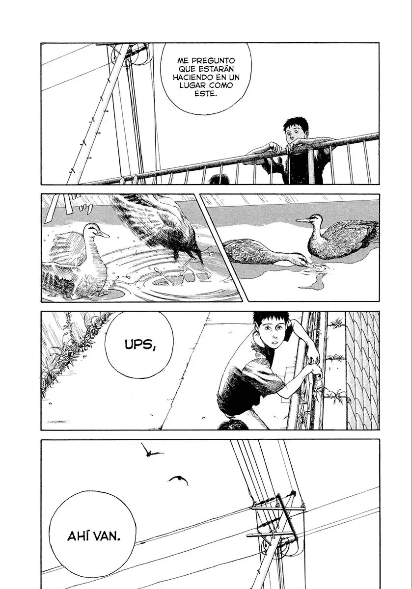 Capitulo 3 page 32