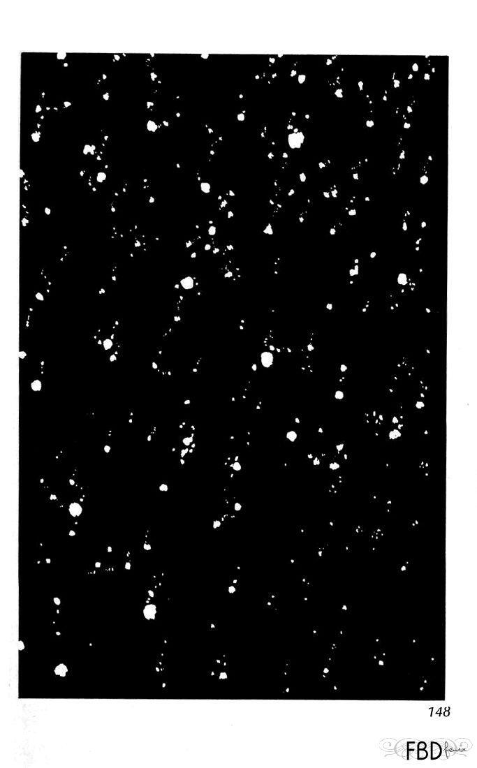 Capitulo 12 page 41