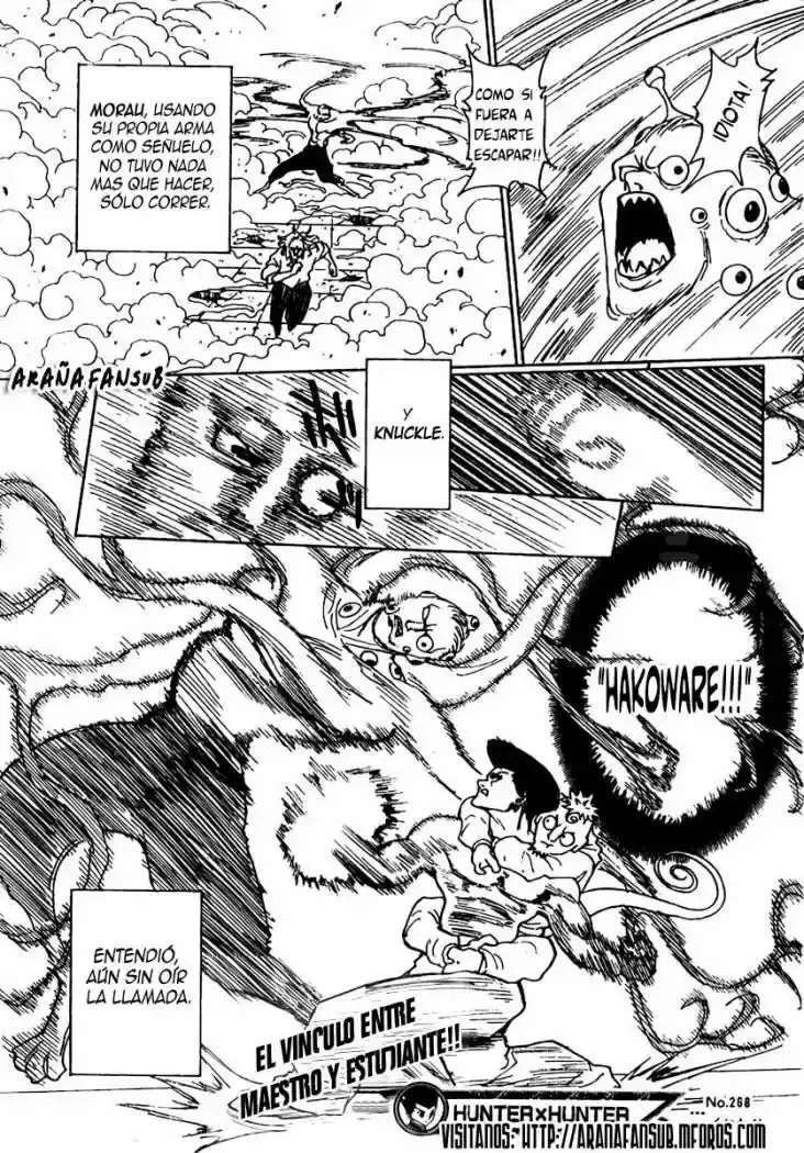 Capitulo 268 page 16