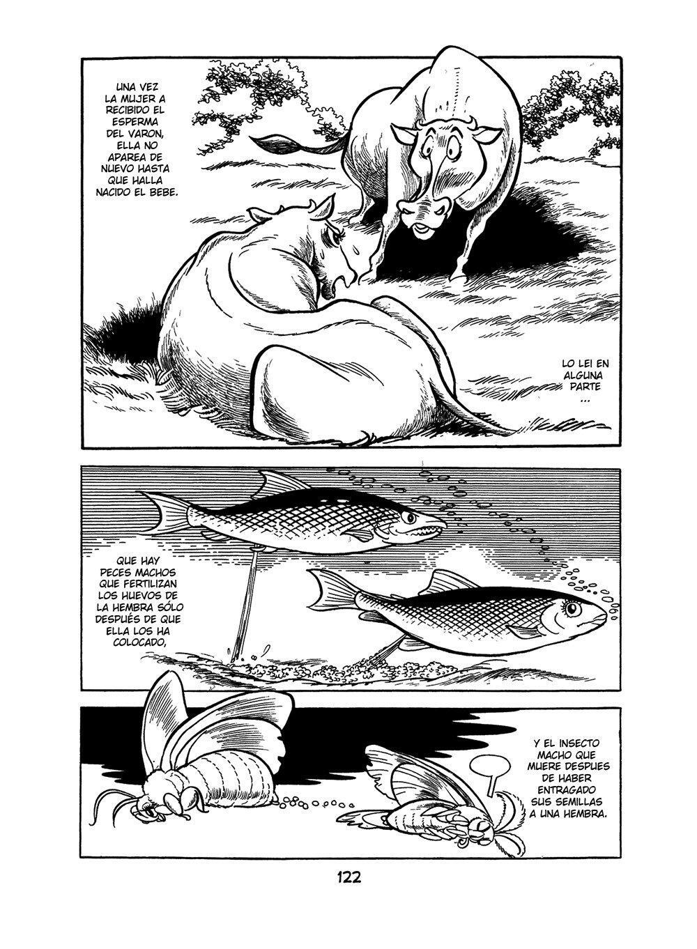 Capitulo 2 page 42