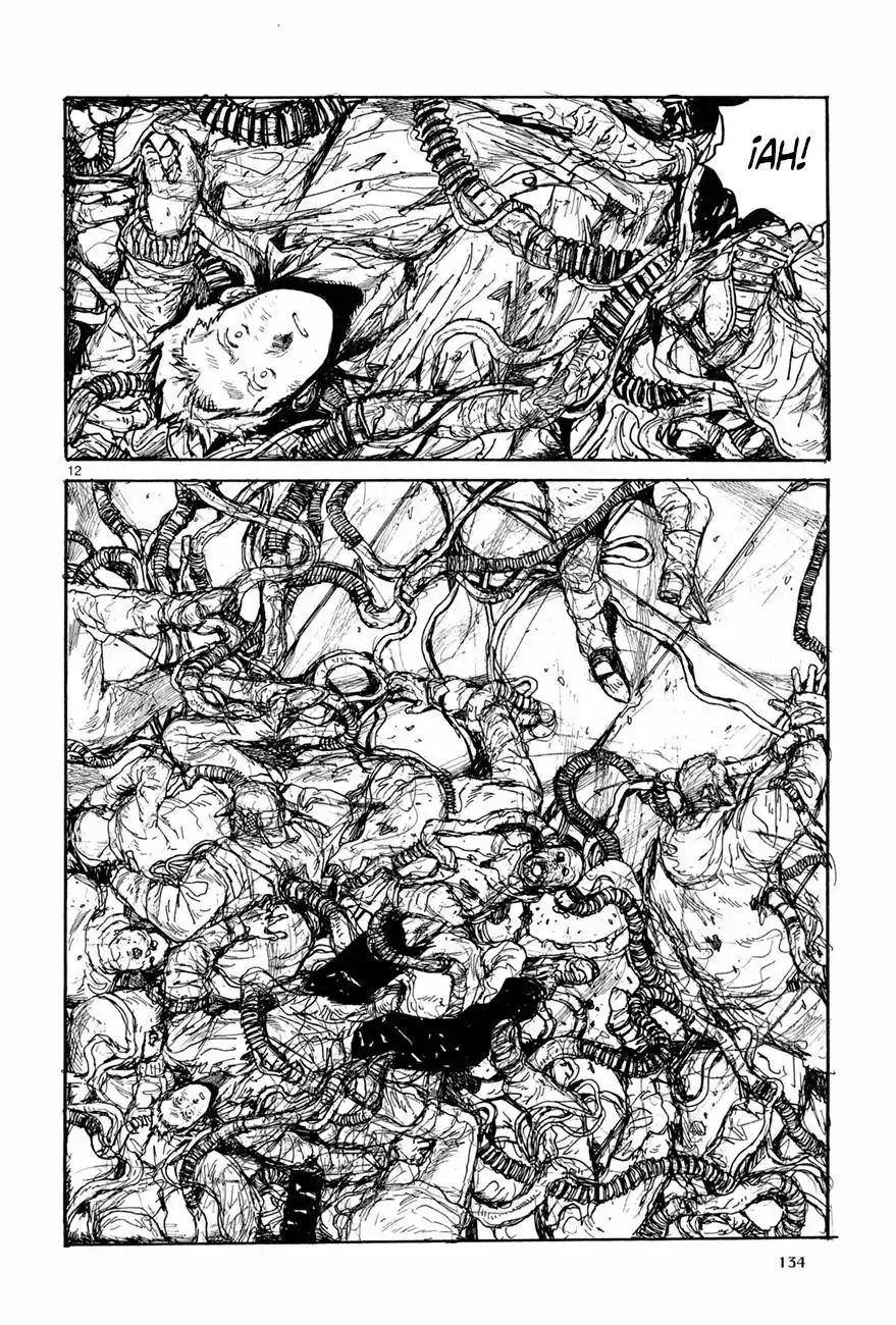 Capitulo 115 page 12