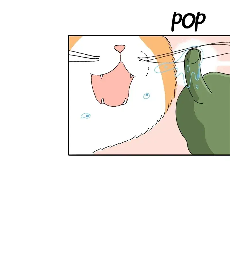 Capitulo 3 page 39