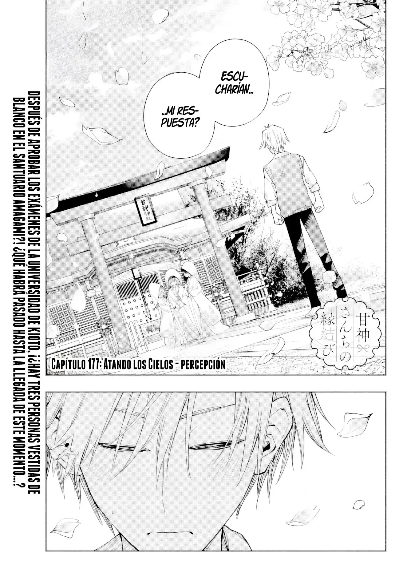 Capitulo 177 page 12