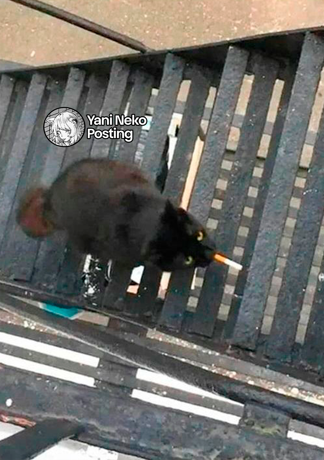 Capitulo 162 page 7