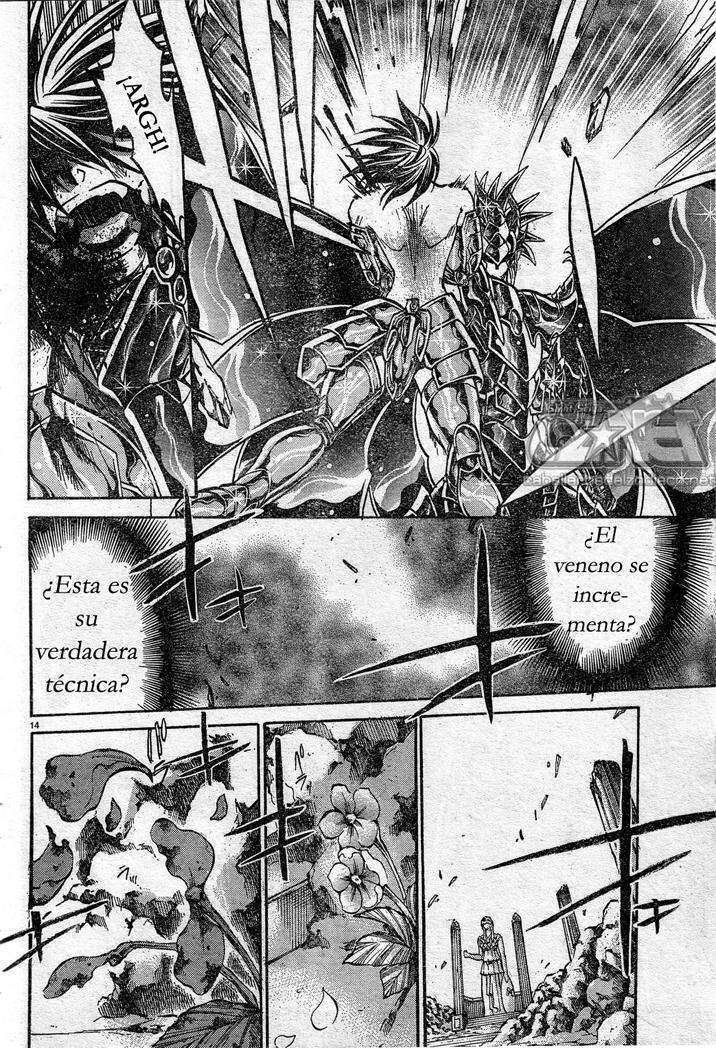 Capitulo 149 page 14