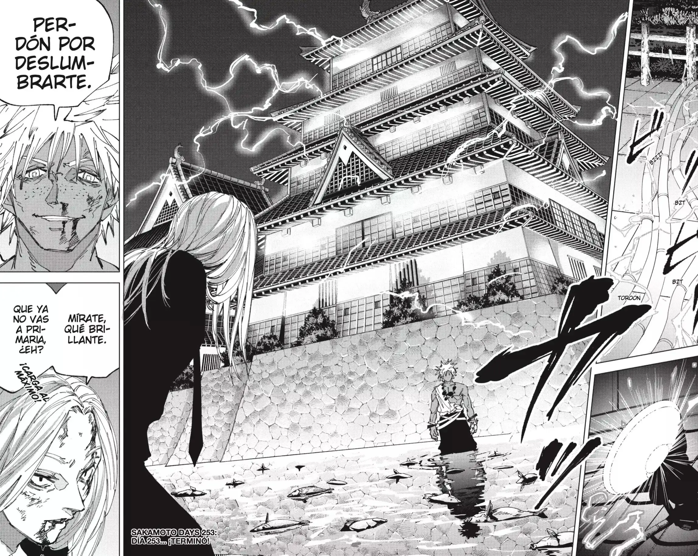 Capitulo 253 page 16