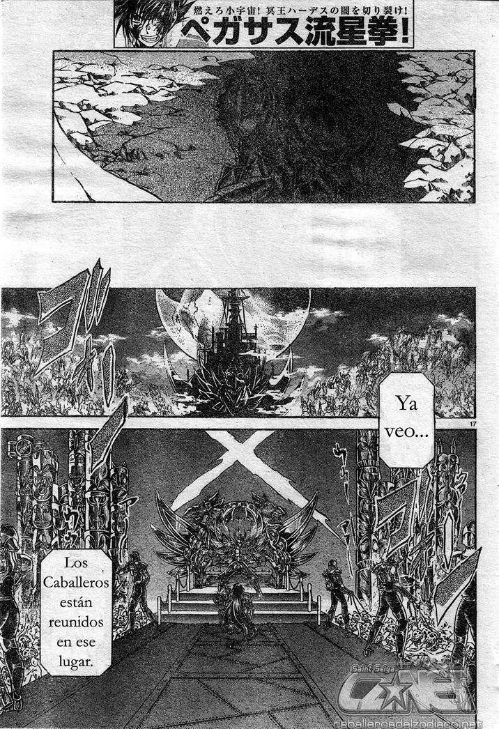 Capitulo 115 page 16