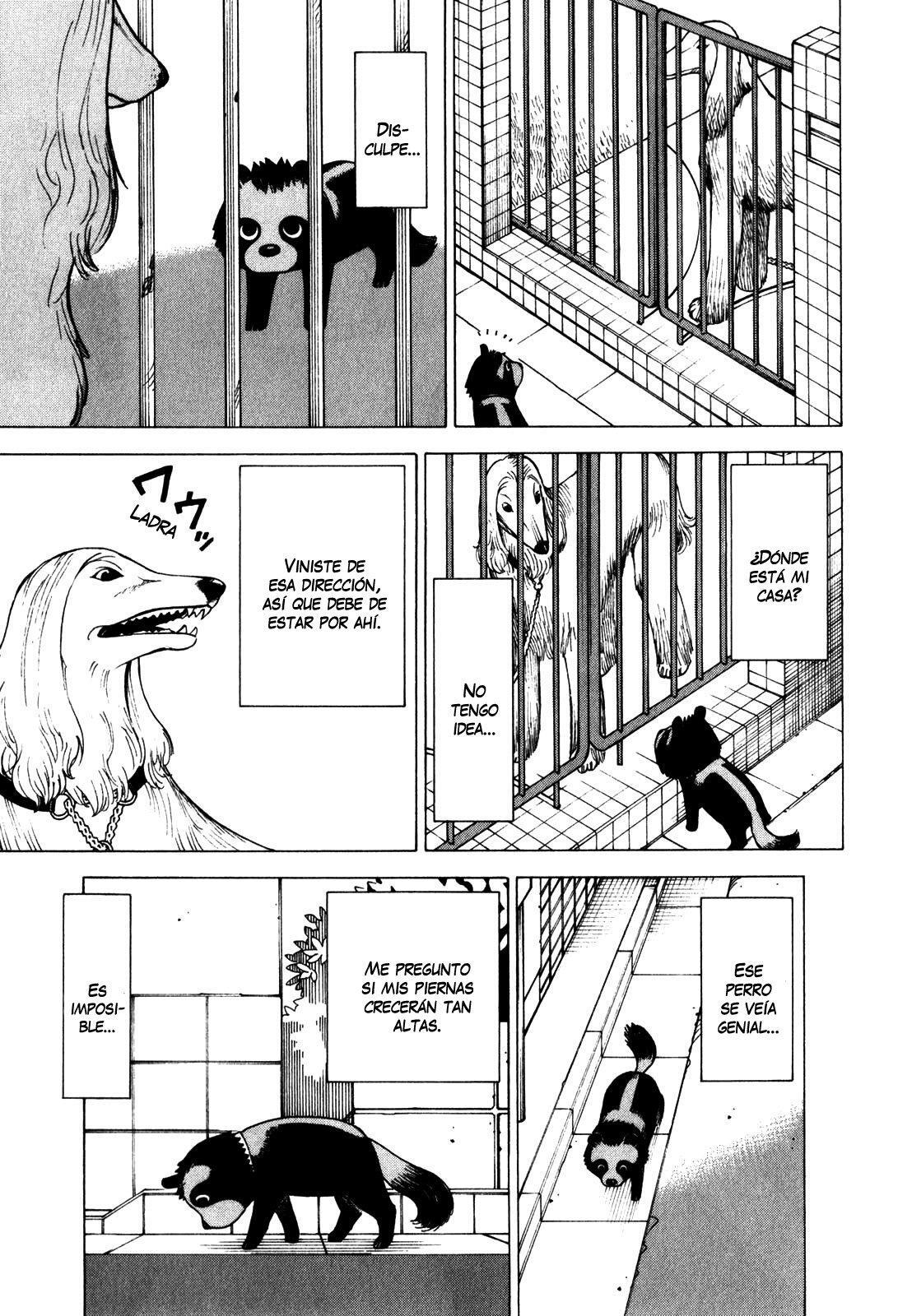 Capitulo 68 page 12