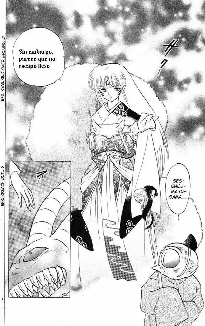 Capitulo 161 page 14