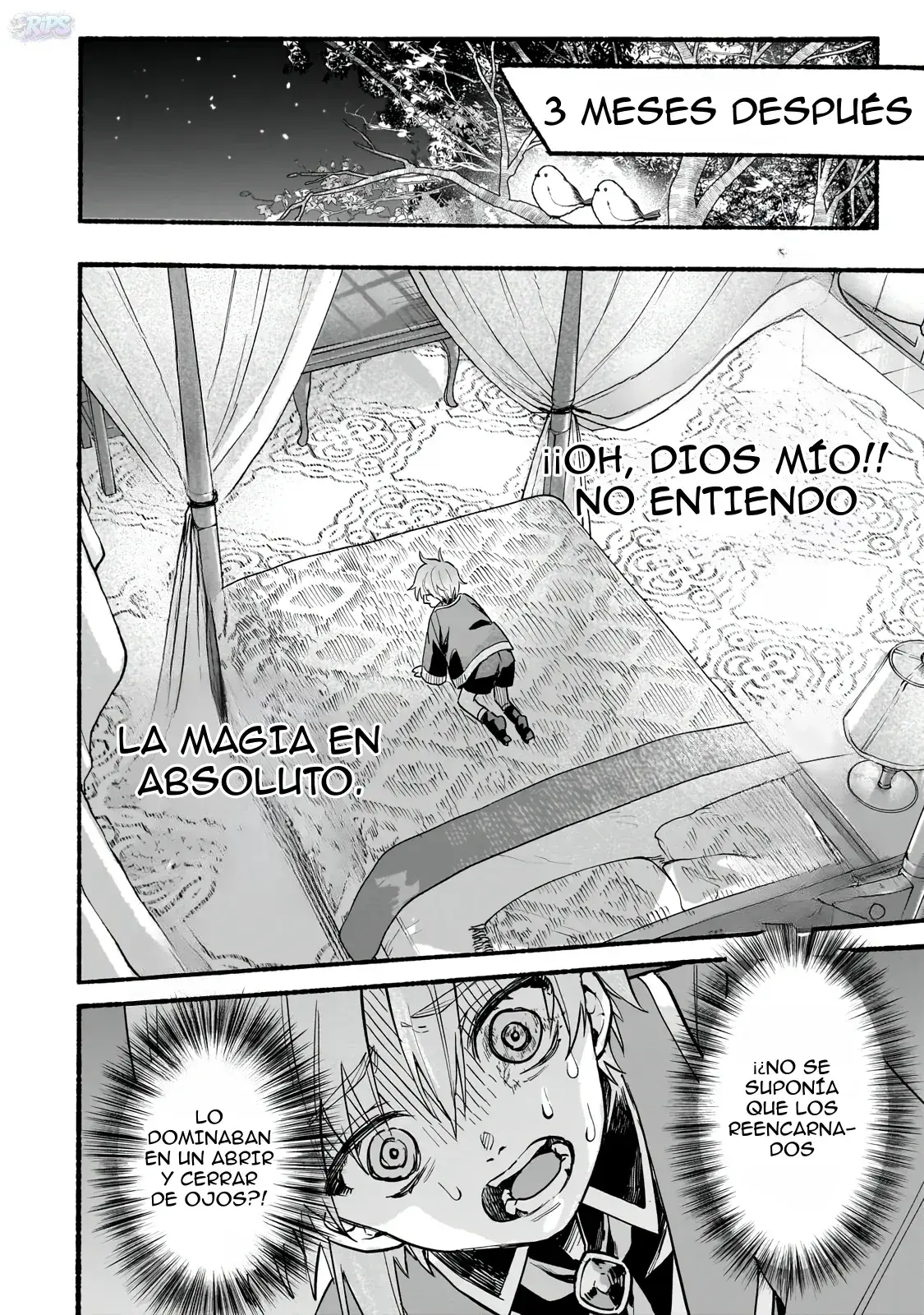 Capitulo 2 page 31