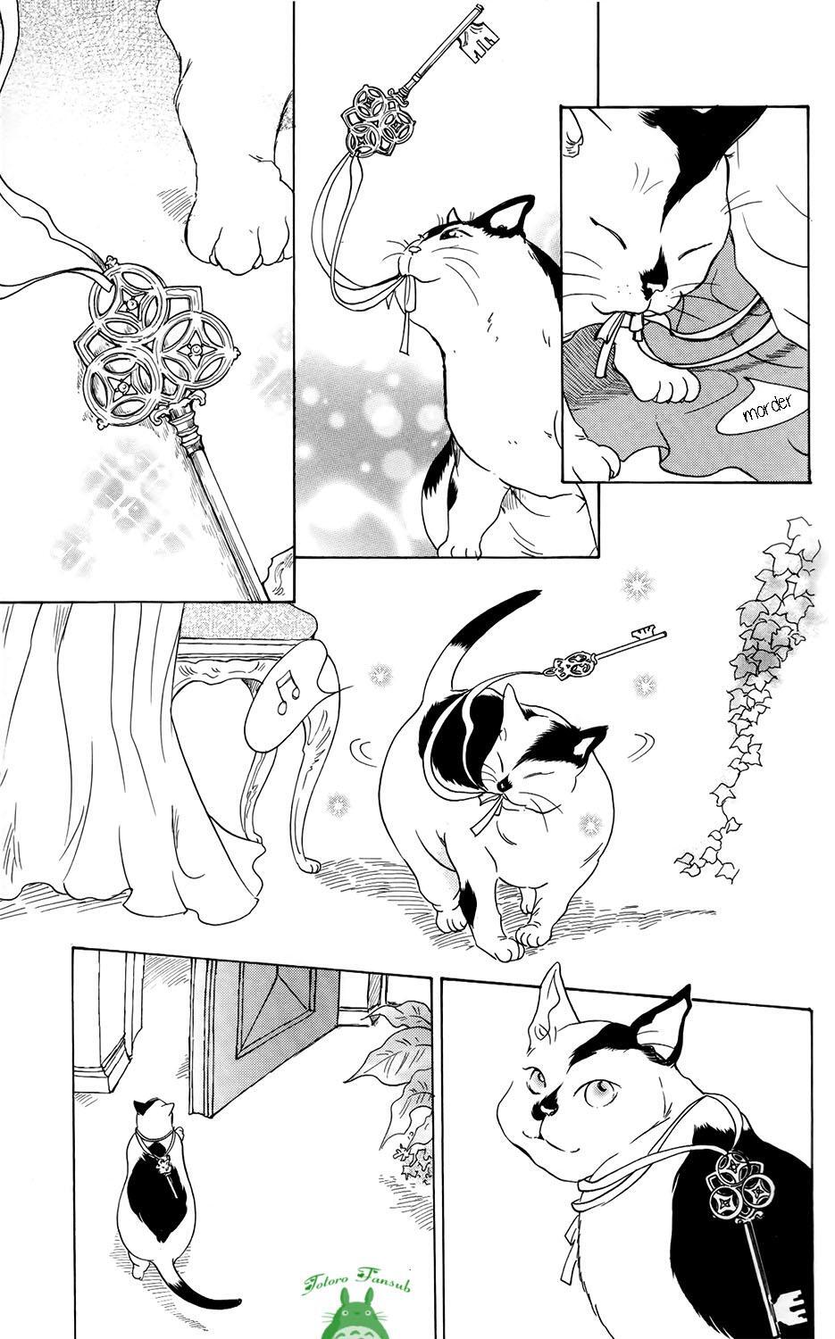 Capitulo 9 page 15