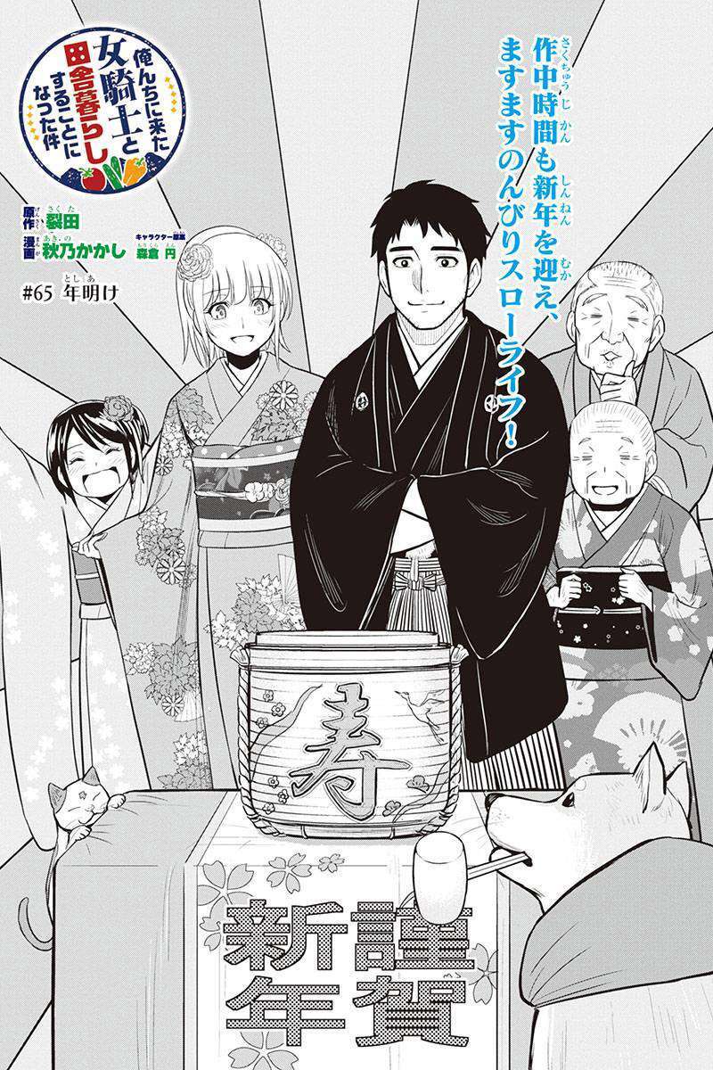 Capitulo 65 page 3