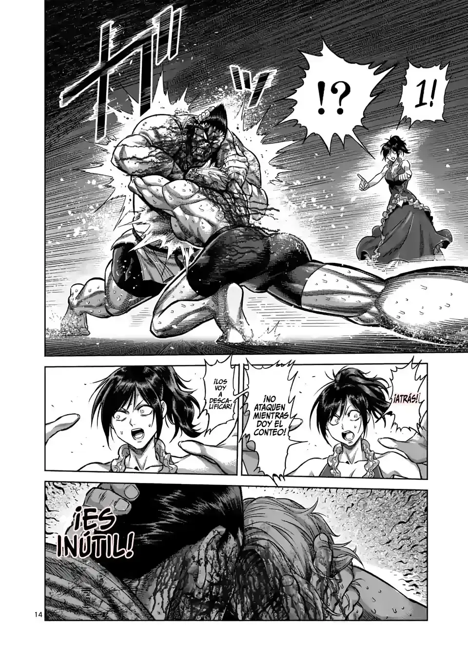 Capitulo 108 page 14