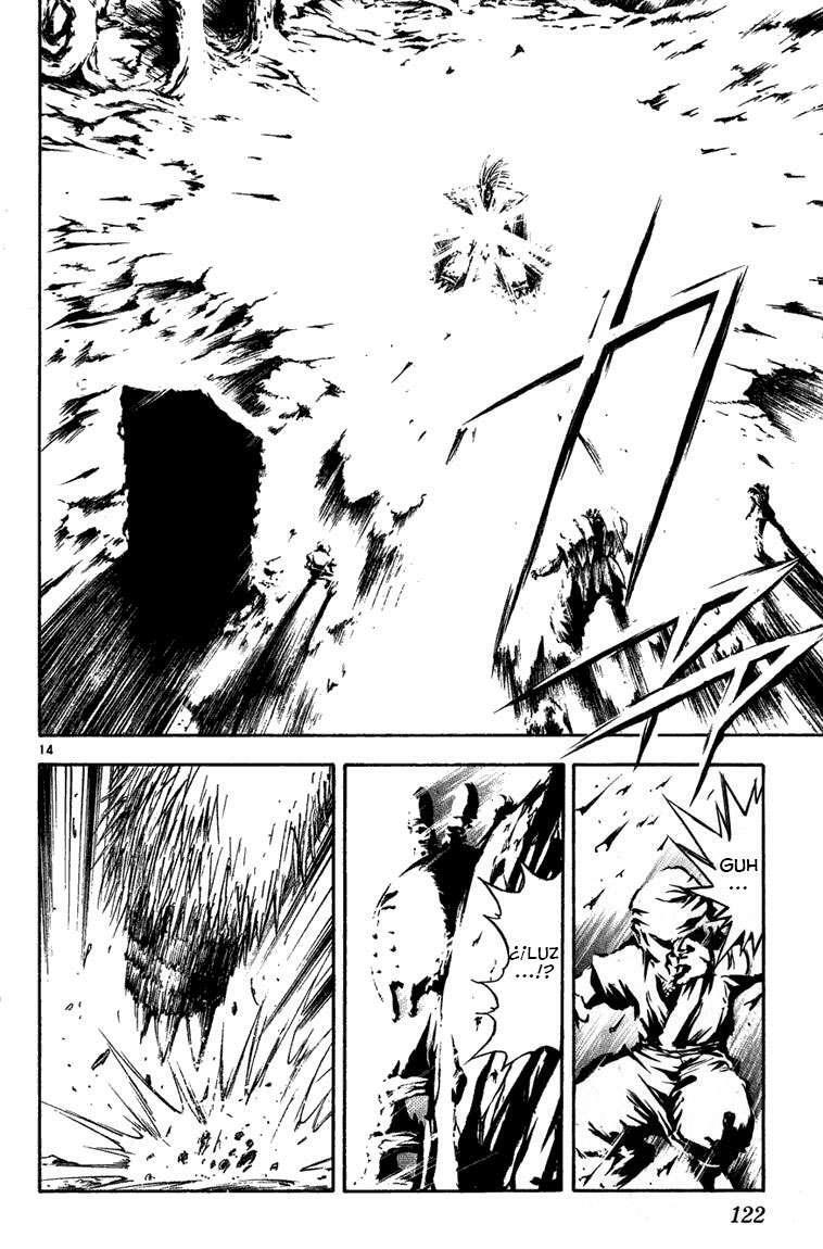 Capitulo 264 page 15