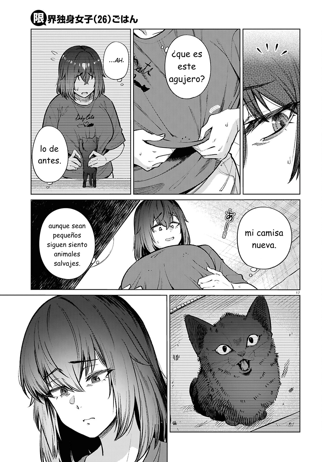Capitulo 21 page 17