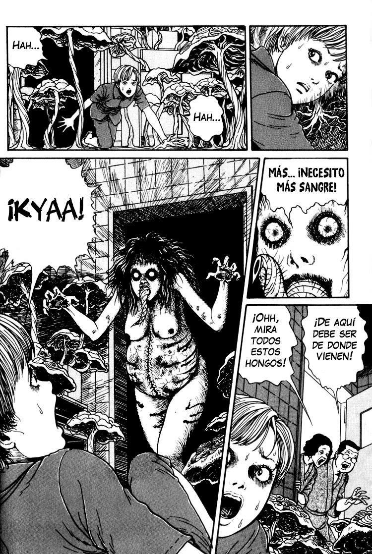 Capitulo 11 page 32