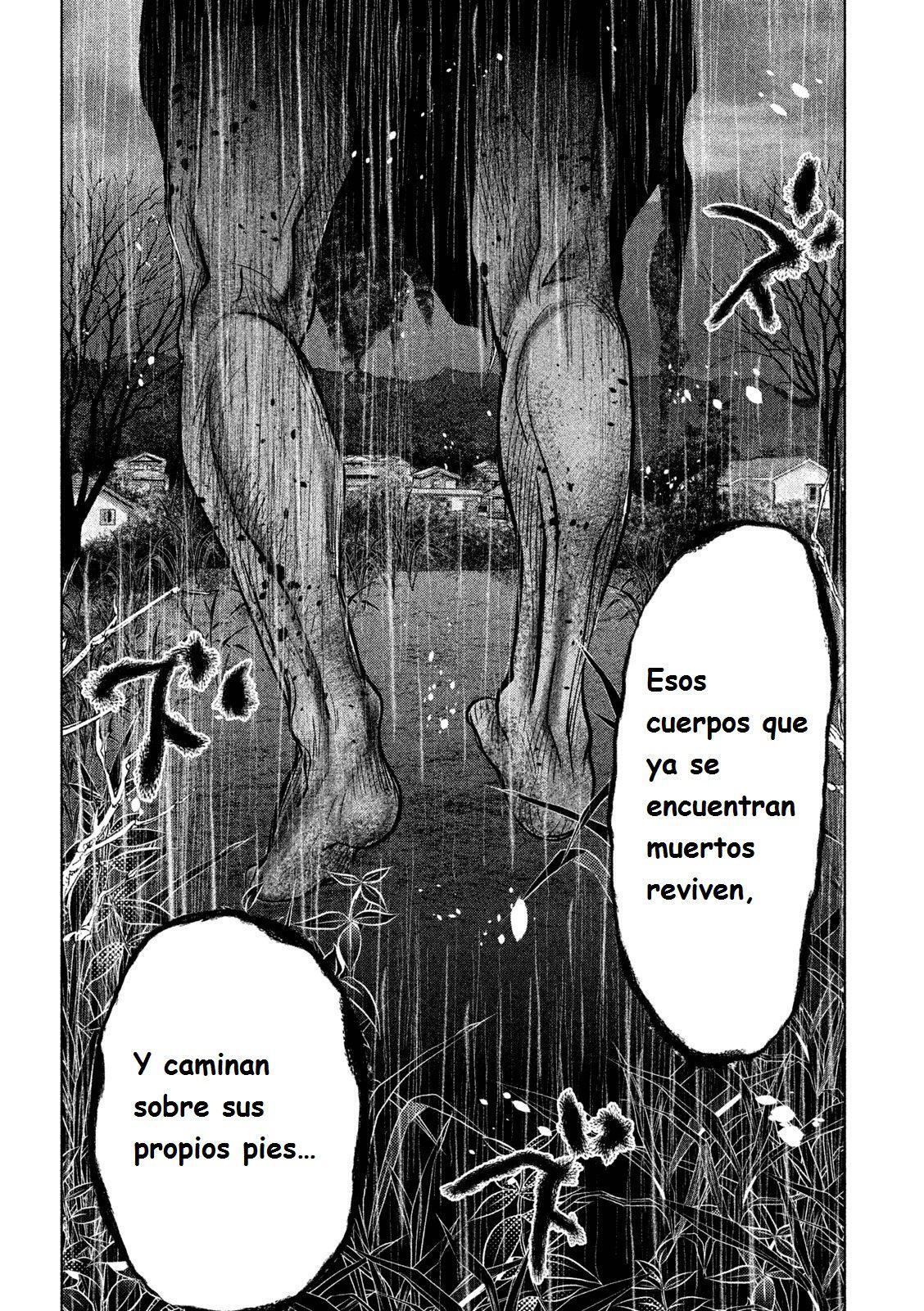 Capitulo 66 page 9