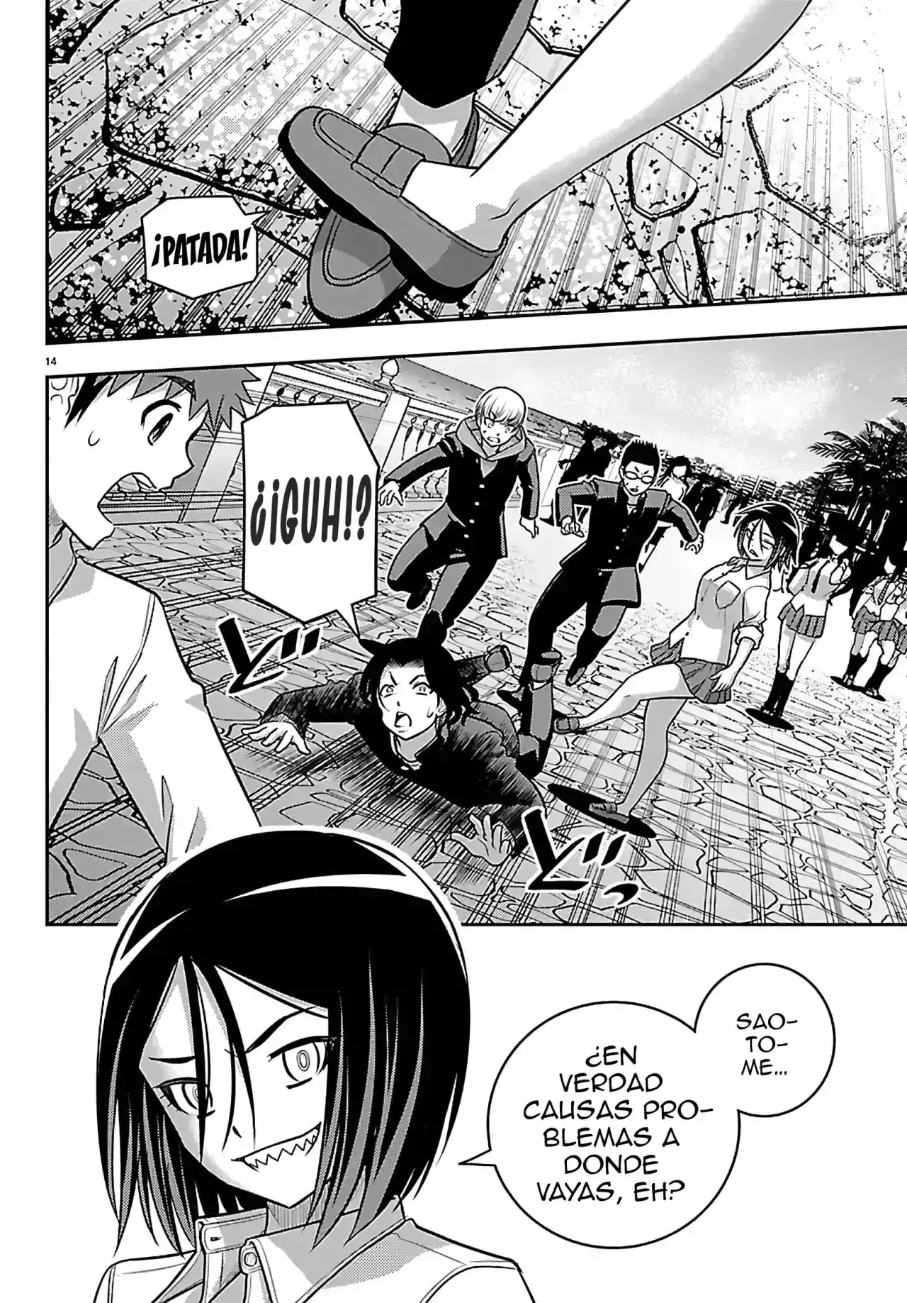 Capitulo 268 page 15