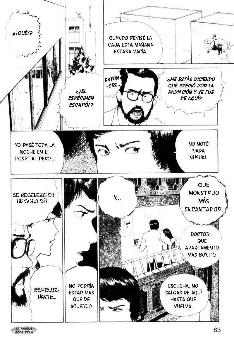 Capitulo 8 page 31