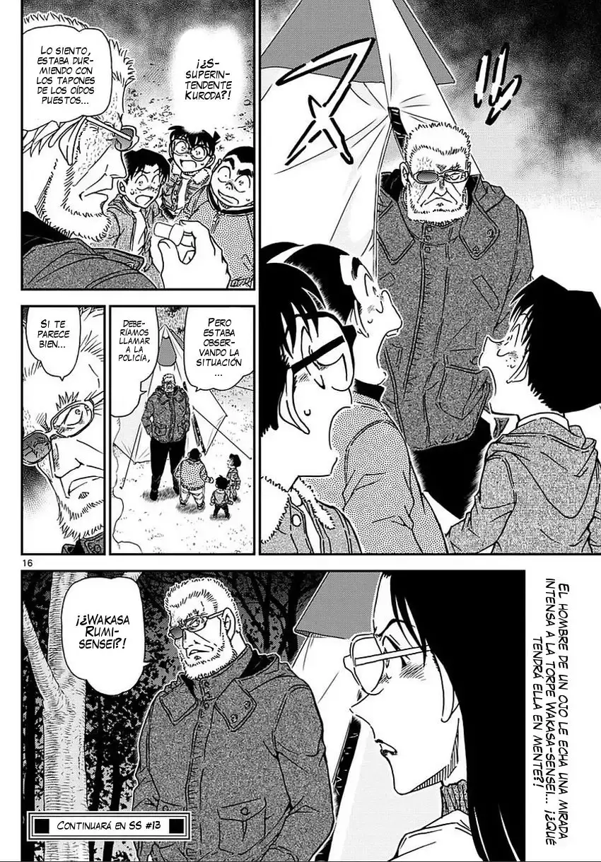 Capitulo 987 page 17