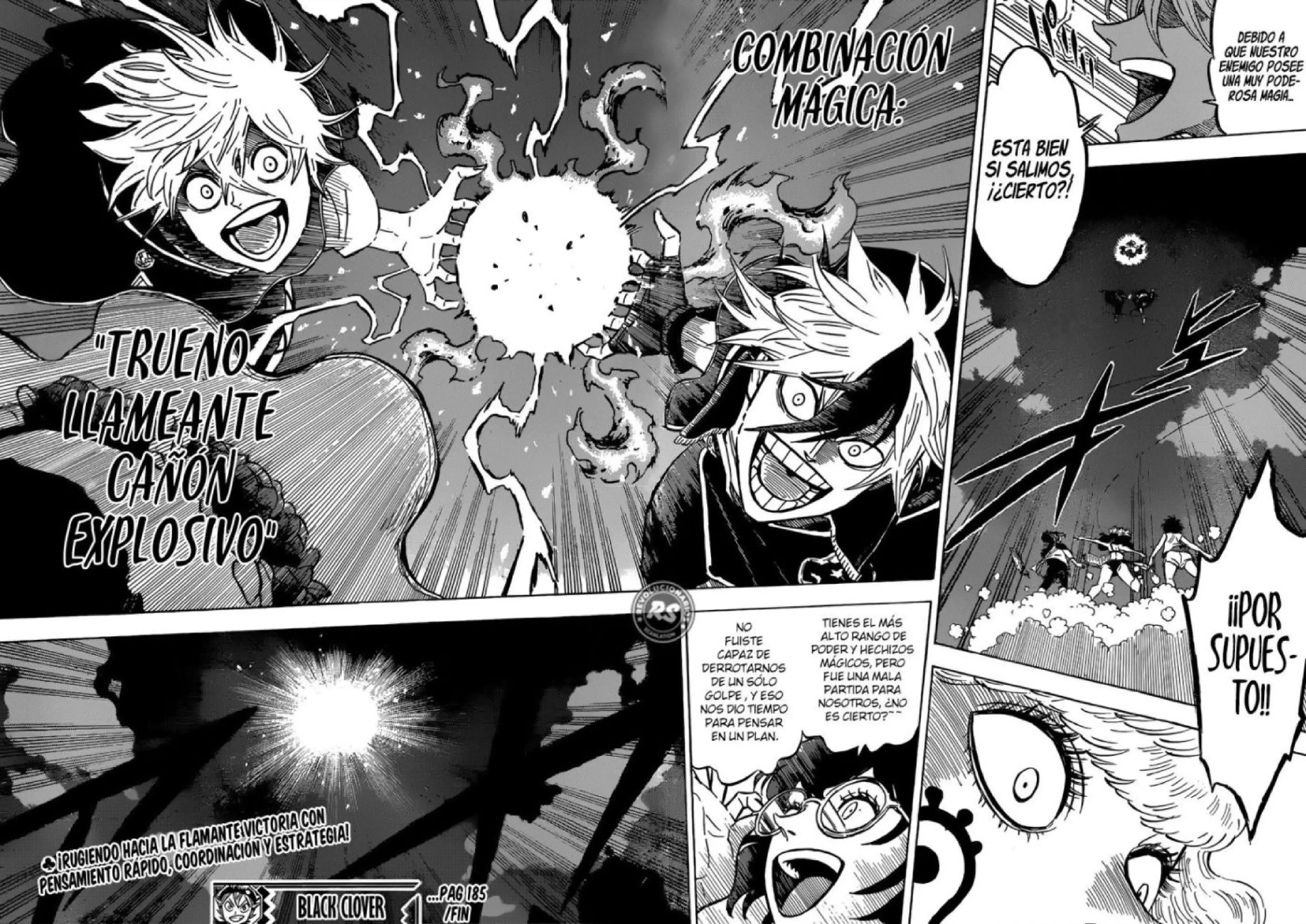 Capitulo 185 page 13