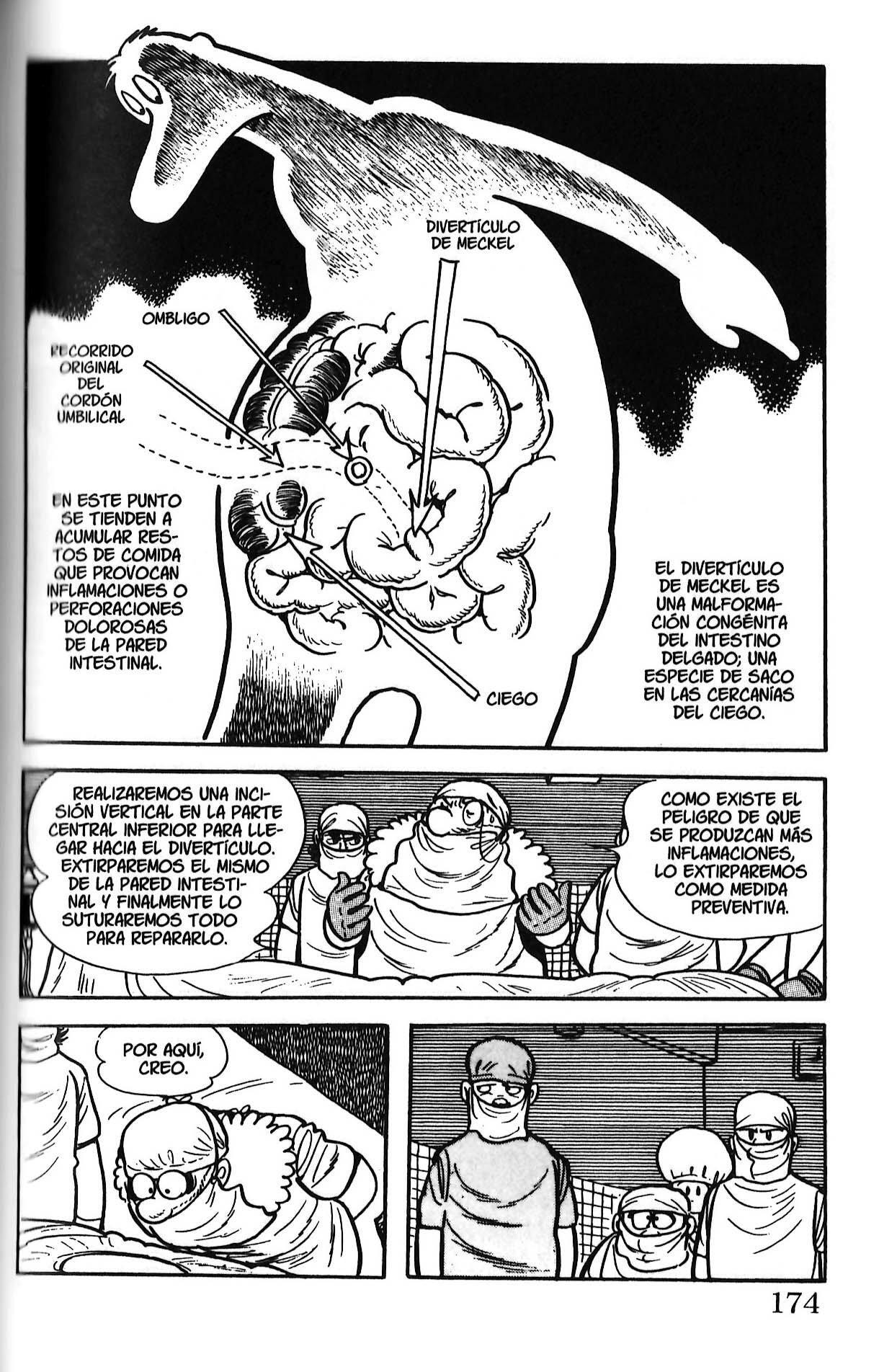 Capitulo 162 page 4