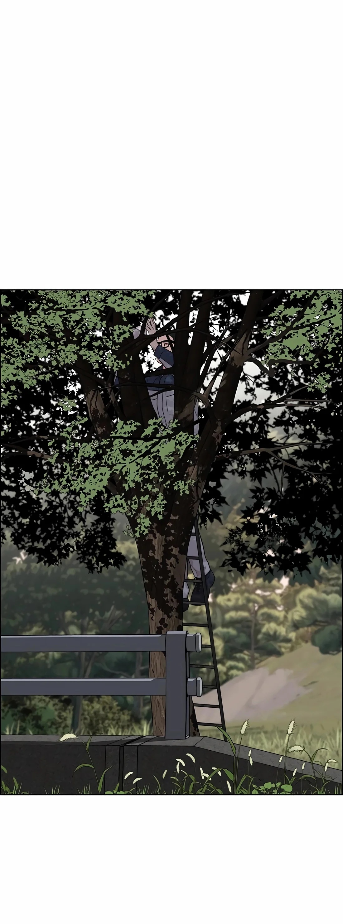 Capitulo 255 page 12